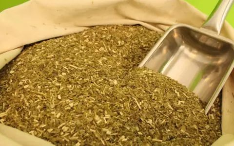 Destaque mundial: yerba mate paraguaya llega a 27 pa�ses.