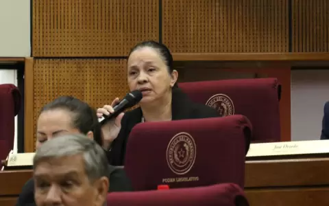 Senadora propone incluir fondos sociales de Itaip� al PGN