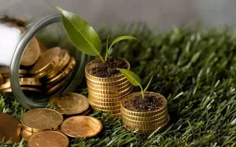 Capital semilla, clave para el desarrollo de las mipymes en Paraguay