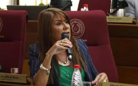 Celeste Amarilla lamenta negativa del ministro de la Senad a convocatoria en el Senado