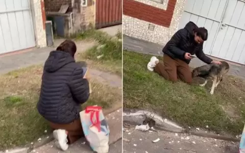 Viajaba en moto de aplicaci�n y encontr� a su perro que estaba perdido hace tres a�os