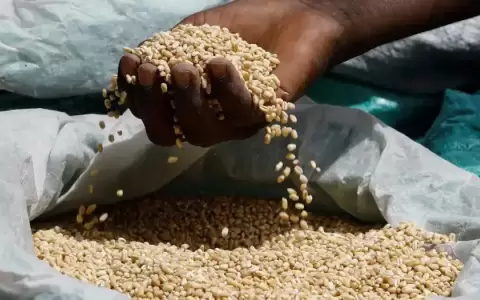 Productores piden definirse sobre obligatoriedad de normas que plantea la UE para exportaci�n