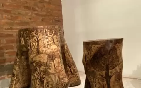 "La emergencia": una mirada sobre la colecci�n de Marcelo Bar�a