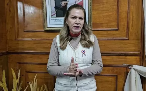Asamblea Mundial de la Salud: Paraguay abog� por "sistema multilateral e inclusivo"