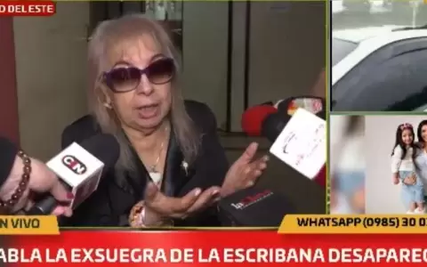 Abogada de familia de Carmen Ruiz dijo caso "puede ser inducci�n al suicidio"