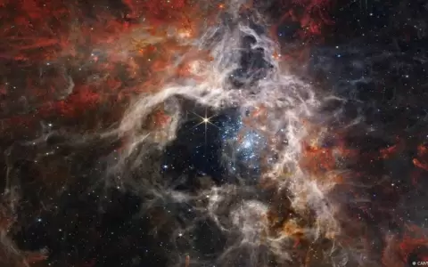 El telescopio espacial James Webb encontr� la galaxia m�s antigua conocida