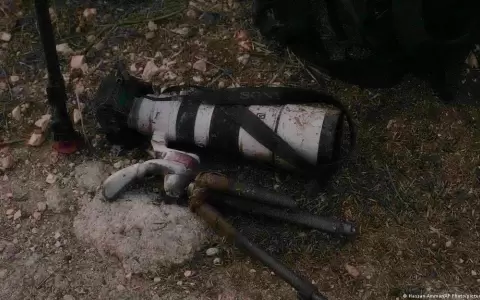 Sondeo: la mayor�a de la prensa medioambiental sufre violencia
