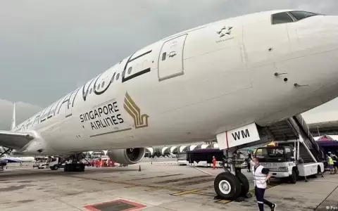 Veinte pasajeros de Singapore Airlines en terapia intensiva
