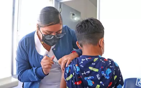 Vacunaci�n contra el VPH: incluir�n en el esquema a ni�os de 10 a�os