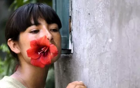 Ciclo de Cine "Miradas maternas", en el Juan de Salazar