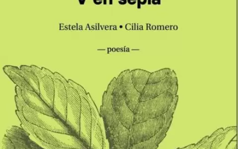 Se publica "Magia liviana. V en sepia", de Estela Asilvera y Cilia Romero Nagy
