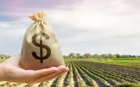 Cr�ditos: ganader�a engorda, mientras agro pierde peso
