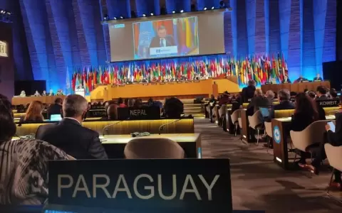 Diputados piden que Unesco declare a la Guarania como "patrimonio cultural de la humanidad"