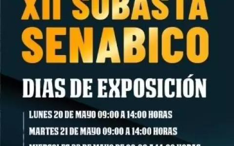 Senabico subastar� una aeronave, veh�culos e inmuebles, el 23 de mayo
