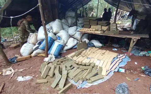Parque Nacional de Caazap� fue depredado por narcotraficantes