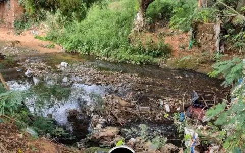 Lambar�: encuentran cad�ver en el cauce de un arroyo