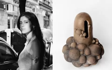 Viedma Arte en ArteCo: Obra de Victoria Mart�nez Zurbano gana el Premio UNNE