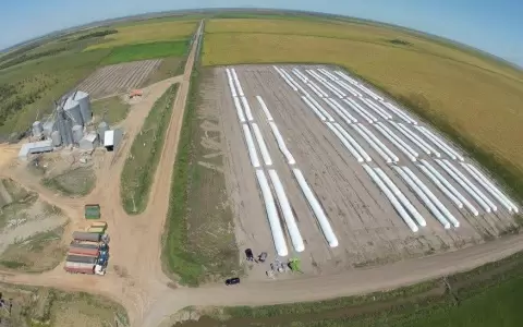 Industria arrocera anuncia la construcci�n de nuevos silos y secadores en Villa Oliva