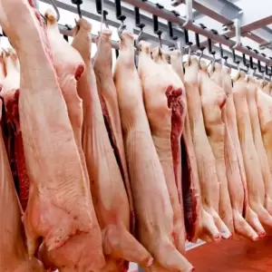Grupo español prepara ingreso a Paraguay con gran inversión en la industria porcina