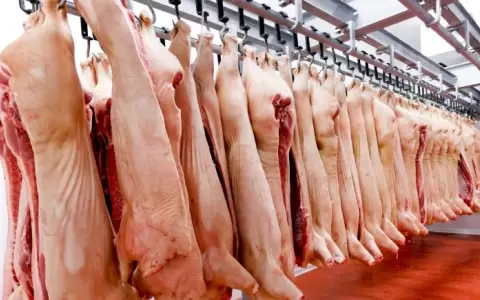 Exportaciones paraguayas de carne porcina suben 113% en primeros 5 meses del a�o