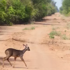 Alertan sobre riesgo para M�danos del Chaco por proyecto que habilitar�a explotaci�n de hidrocarburos