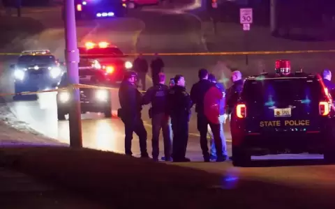 Varios heridos deja tiroteo en parque de Michigan, EE.  UU.