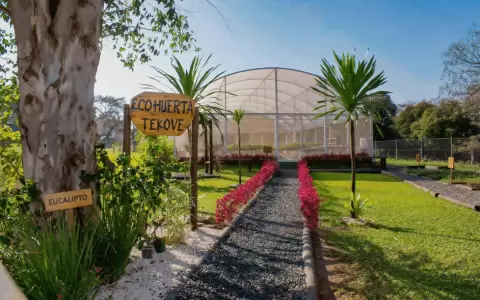 D�a del Medio Ambiente: resaltan compromiso de sostenibilidad con innovadora forma de cultivo