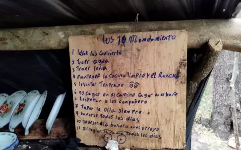 "Los 11 mandamientos de un campamento narco", el descubrimiento de la Senad