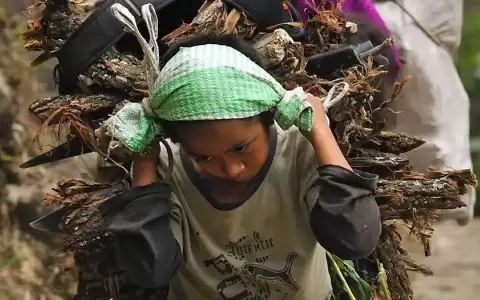 Los rostros del trabajo infantil en Am�rica Latina