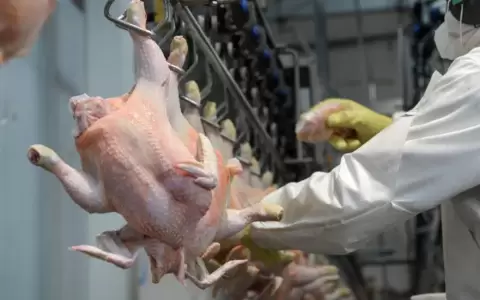 Carne aviar paraguaya reportando valores negativos en comparaci�n con el a�o pasado.