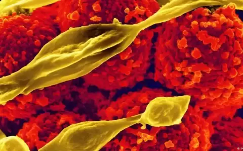 IA halla casi un mill�n de posibles antibi�ticos naturales