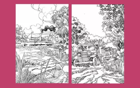 Alejandrino Meza: Diarios de guerra, m�s all� de las acciones militares