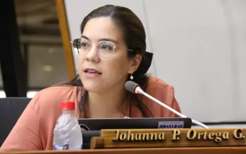 Diputada cuestiona falta de respuesta de intendente de Asunci�n y reitera pedido de informe
