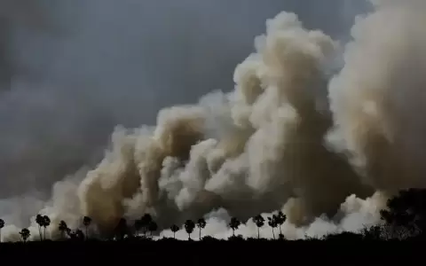 Estado de emergencia por incendios en el Pantanal de Brasil