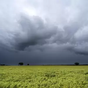 En el campo esperan una primavera con "lluvias normales" y posible aparici�n de La Ni�a