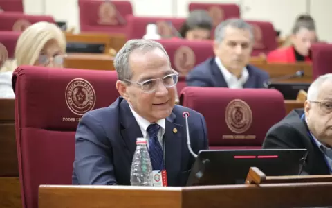 Mart�n Burt rechaza proyecto de ley de control a las ONG y dice que buscan silenciar a los opositores