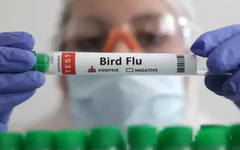 Europa detecta gripe aviar en humanos.