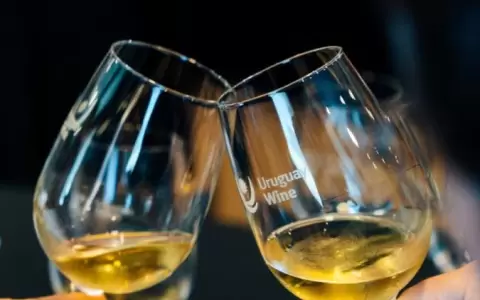 Llega la edici�n 2024 de la Expo Uruguay Wine