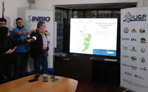 Superficie de cultivo de soja se redujo en 5%