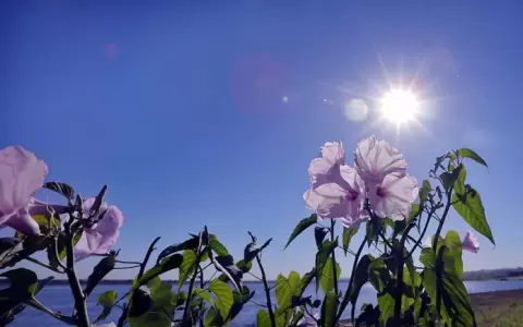 Clima: vientos moderados del sector norte y ambiente caluroso
