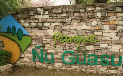 Parque �u Guasu.