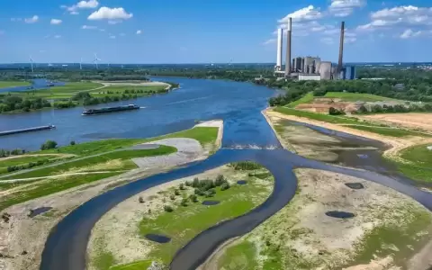 La UE aprueba ley que exige restaurar la naturaleza