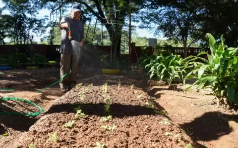 Implementan "terapia de huerta" para adultos mayores del hogar Santo Domingo