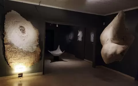 "Caf� con artistas": Gustavo Ben�tez hablar� sobre la muestra "Levedad corp�rea del tiempo"