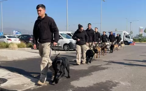 Futuros canes detectores de drogas y gu�as de la Senad entrenan en Chile