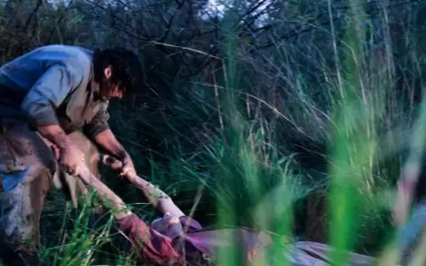 Marat�n de cortos nacionales en Cine de Barrio