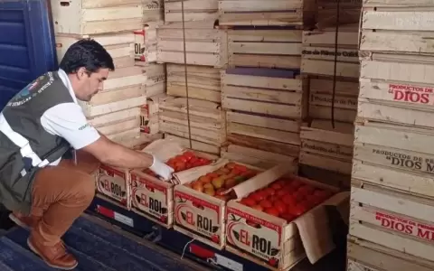 Nuevos procedimientos para importaci�n de frutas y hortalizas