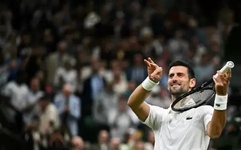 Alex de Mi�aur se retira por lesi�n y Novak Djokovic es semifinalista