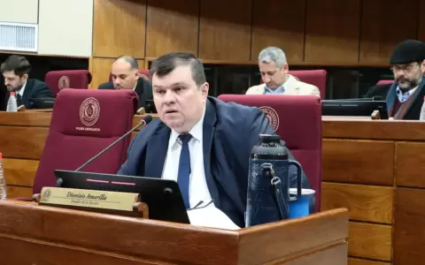 Dionisio Amarilla rechaza interpelar a titular de la ANDE