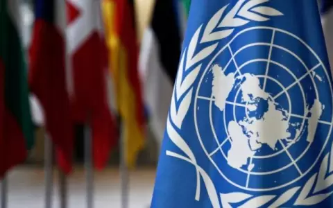 Organizaci�n de las Naciones Unidas.